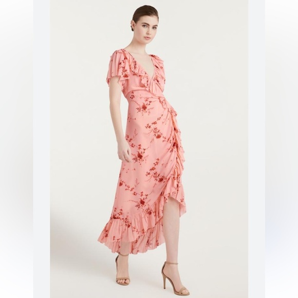 Cinq à Sept Fleur Sheilla Dress Pale Rose Multi Size 2 NWOT - Picture 2 of 7